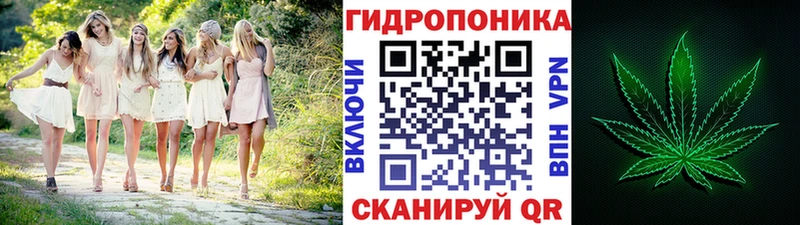Бошки марихуана сатива  Серпухов 